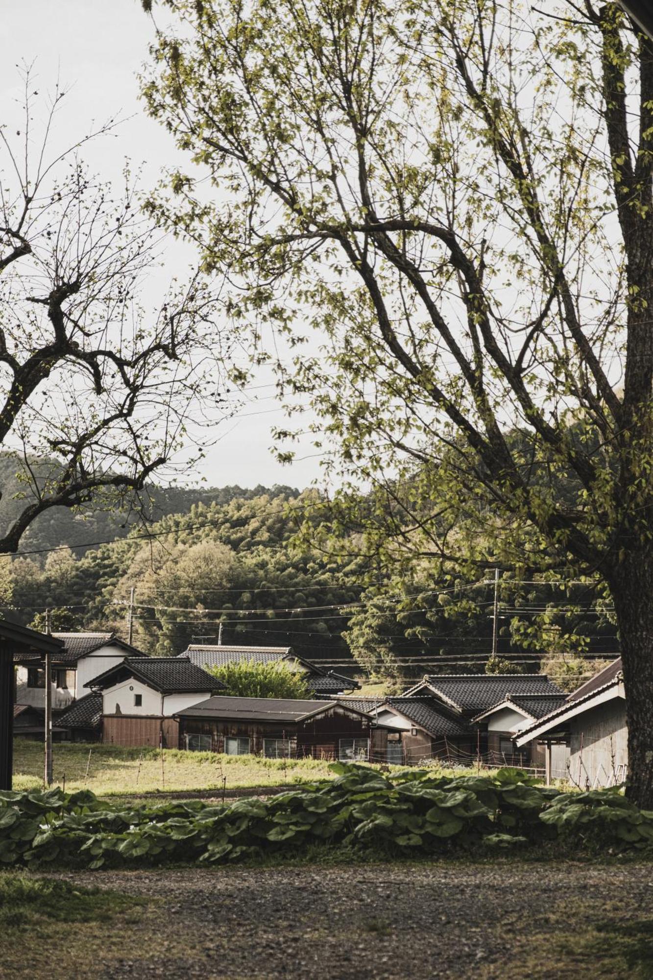 一汁一菜の宿　ちゃぶダイニング Ichiju Issai No Yado Chabu Dining Unforgettable Farmstay Experience In Deep Kyoto Ayabe Ngoại thất bức ảnh